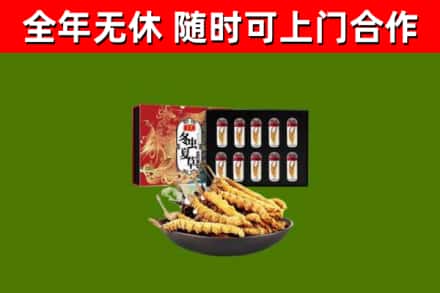 林芝回收冬虫夏草价格